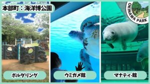海洋博公園の遊具エリア：ウミガメ館、マナティー館、ボルダリング
