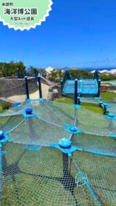 沖縄最大級！海洋博公園ネットプール（ちびっことりで） 無料で遊べる遊具広場！