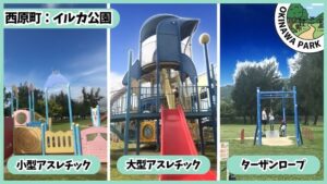 イルカ公園：アスレチック、ターザンロープ、広場