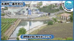 嘉手志川：透明度が高く、魚も泳いでいる