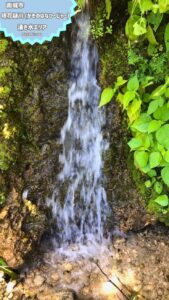 沖縄南城市 垣花樋川 日本名水100選 湧水 絶景