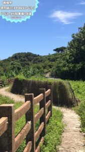 沖縄の絶景！日本名水100選 垣花樋川で自然を満喫