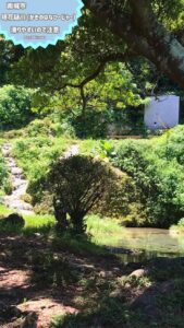 沖縄南城市 垣花樋川 日本名水100選 絶景湧水 絶景スポット 水遊び