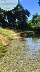 【沖縄南城市】小さな魚が泳ぐ天然湧水 垣花樋川