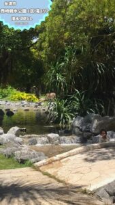 【沖縄】西崎親水公園：安全で楽しい水遊びエリア！家族で川遊びを楽しもう！