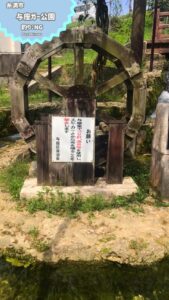 【沖縄絶景】糸満の穴場！与座川公園で家族で楽しむ水遊び