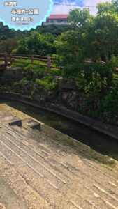【沖縄 水遊び】与座川公園で安心安全！湧き水の川で涼む