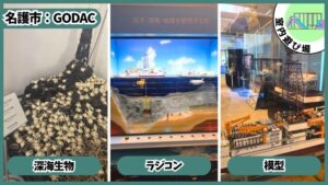 国際海洋環境情報センター：深海生物、ラジコン、模型