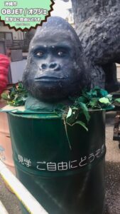 沖縄市　OBJET/オブジェ　見学はご自由にどうぞ