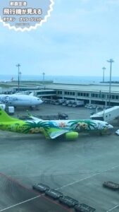 那覇空港　飛行機スポット