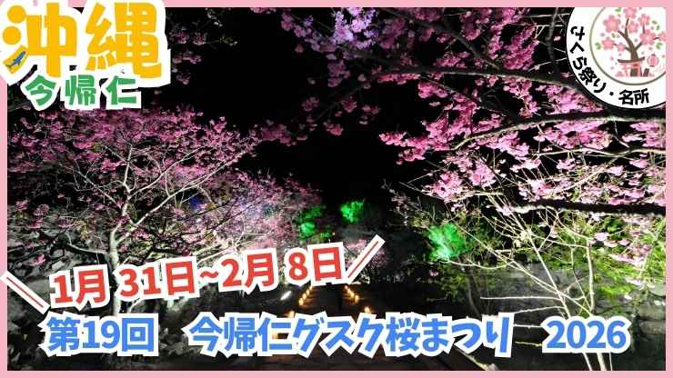 阪神タイガース【宜野座】プロ野球春季キャンプ、宜野座村野球場