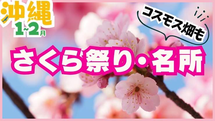 沖縄のさくら祭り・桜の名所！