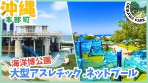 沖縄本島北部の大自然に囲まれた「海洋博公園」のイラスト 青空と青い海、緑豊かな公園を背景に、楽しそうに遊ぶ子供たちの姿が描かれています。 公園内の施設や遊具、海の景色もイラストで表現されています。