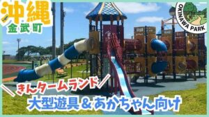 沖縄県金武町にあるきんタームランドのイラスト。青空と緑豊かな芝生、遊具、ターザンロープ、カラフルな滑り台、ブランコなどが描かれている。