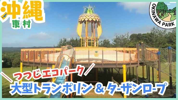 東村 【★4.2】つつじエコパーク遊具公園、パイナップルランド