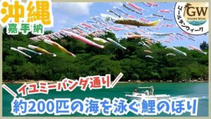 GWイベント、嘉手納、鯉のぼり