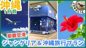 ジャングリア&沖縄旅行プラン、1日目、那覇空港