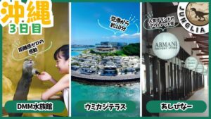 ジャングリア&沖縄旅行プラン、3日目、DMM水族館、ウミカジテラス、あしびなー