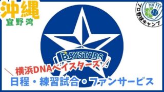 横浜DeNAの沖縄キャンプ2026【宜野湾】プロ野球春季キャンプ.日程.無料