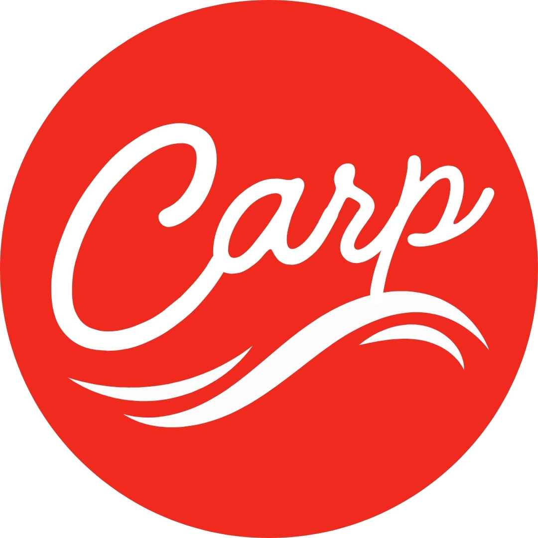 広島東洋カープ【沖縄市】プロ野球春季キャンプ、コザしんきんスタジア厶