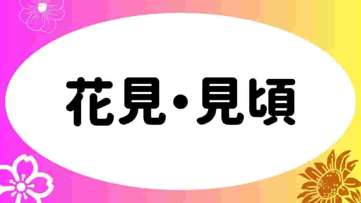 沖縄あそびば！Play!Okinawaのロゴ。青い海とビーチにある2つのビーチチェア。