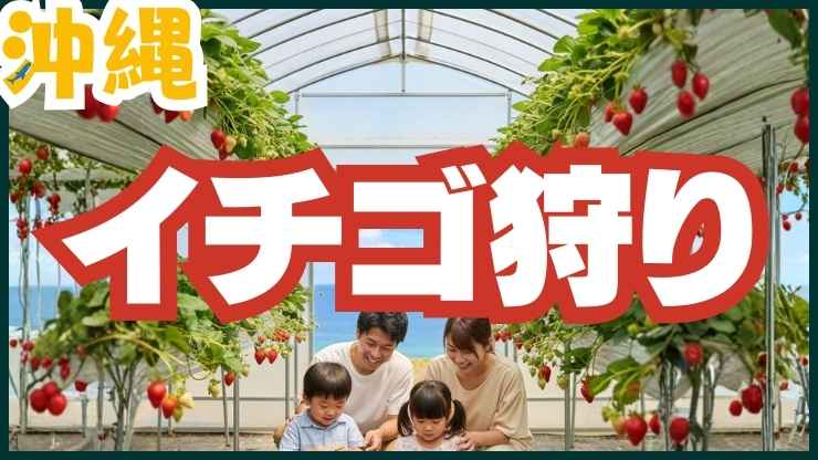 沖縄のいちご狩り農園で高設栽培を楽しむ家族と青い海の背景。2026年最新の沖縄おすすめいちご狩りスポット完全ガイド用アイキャッチ画像。