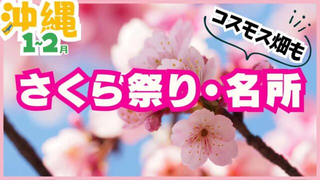 沖縄の主要な桜まつり（名護・八重岳・今帰仁・那覇）を比較した一覧。